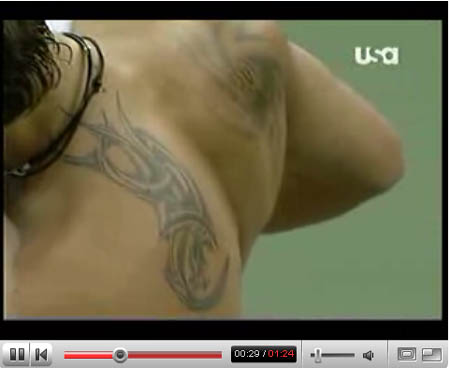 The intricate tattoos on Janko Tipsarevic's back are apparently courtesy of